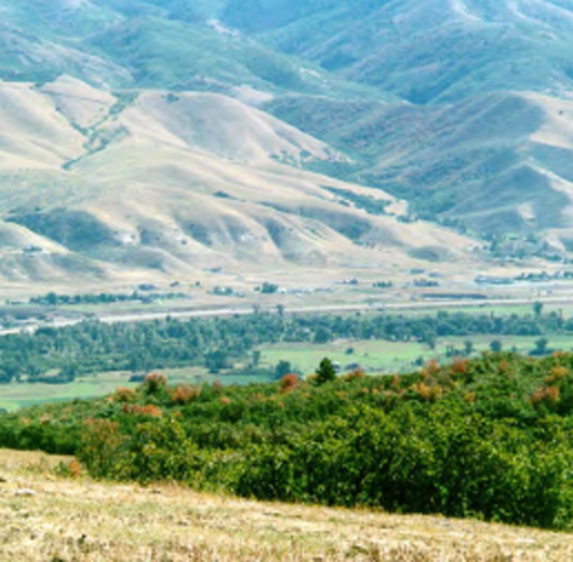 cap_portfolio_rtc_region_morgan-county